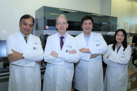 Members of the research team from HKUMed include: (from left to right) Professor Malik Peiris, Tam Wah-Ching Professor in Medical Science and Chair Professor of Virology, School of Public Health; Professor John Nicholls, Clinical Professor, Department of Pathology; Dr Michael Chan Chi-wai, Associate Professor, School of Public Health; and Dr Kenrie Hui Pui-yan, Research Assistant Professor, School of Public Health.